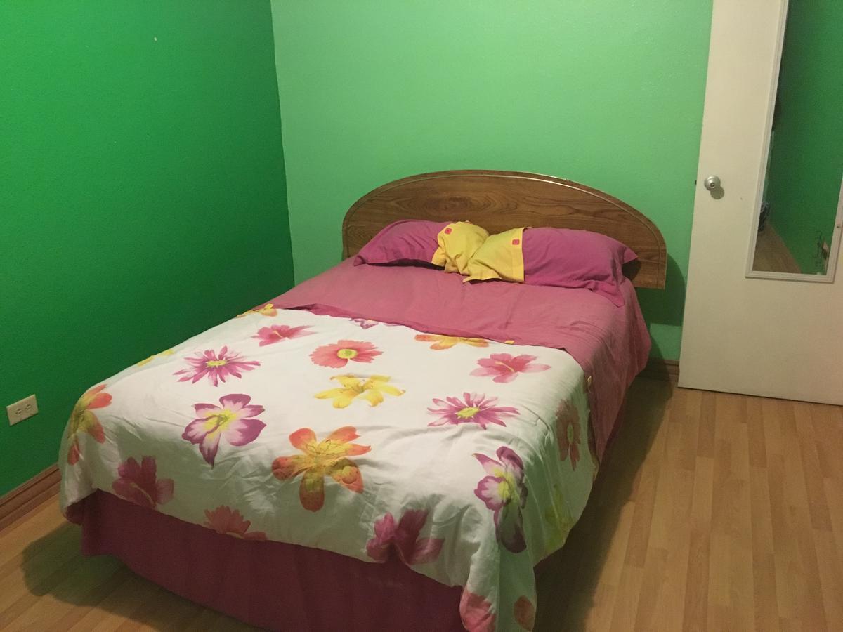 Blanquita Guesthouse Manuel F. Martínez 외부 사진