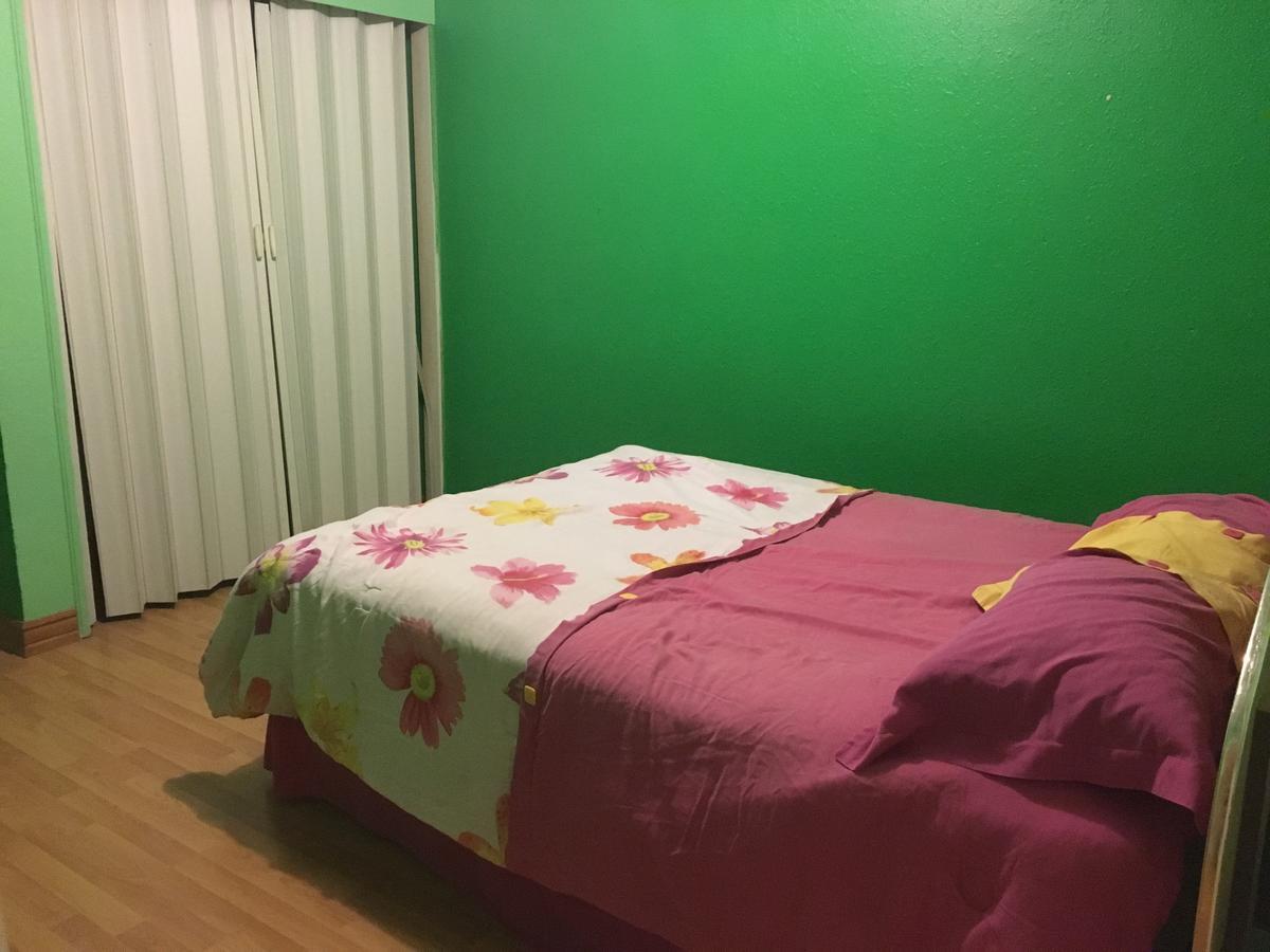Blanquita Guesthouse Manuel F. Martínez 외부 사진